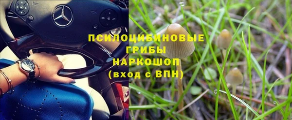 мяу мяу мука Богданович