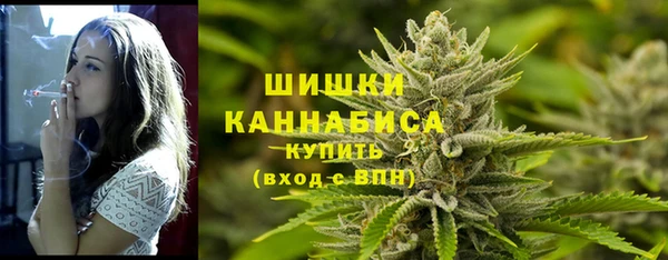 крисы Богородск