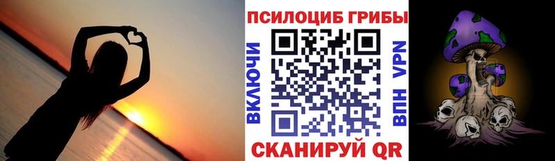 Псилоцибиновые грибы прущие грибы гидра как зайти Валуйки